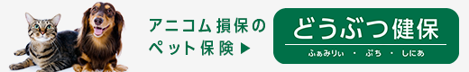 アニコム損保